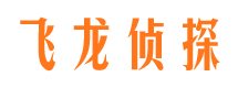 武汉市调查公司